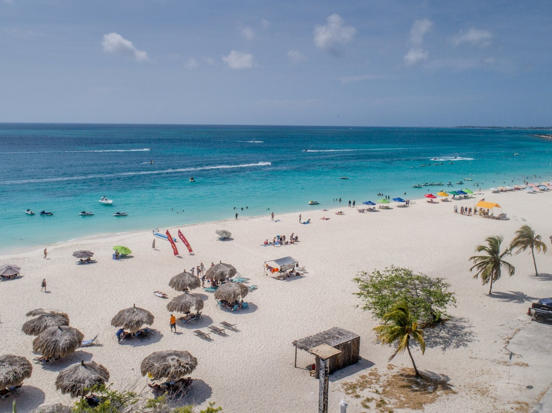 棕榈/鹰海滩酒店住宿-MVC鹰湾酒店