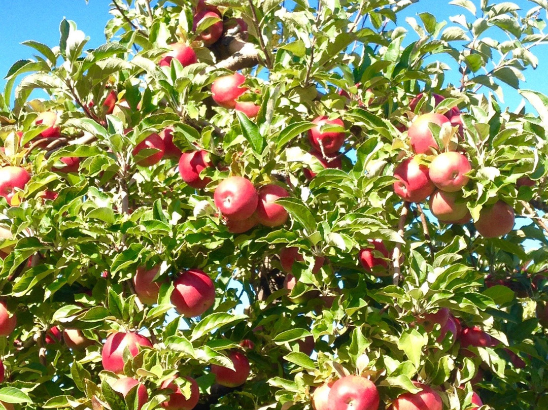 RV Rentals of Orlando-Longwood必去景点