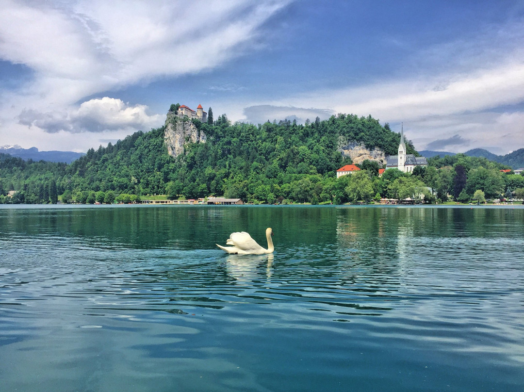 Bled Taxi Transfer-布莱德必去景点