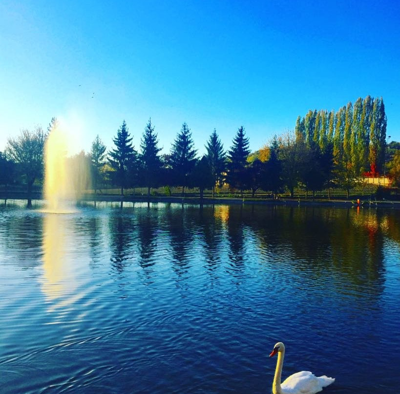 Lago di Codana景点图片