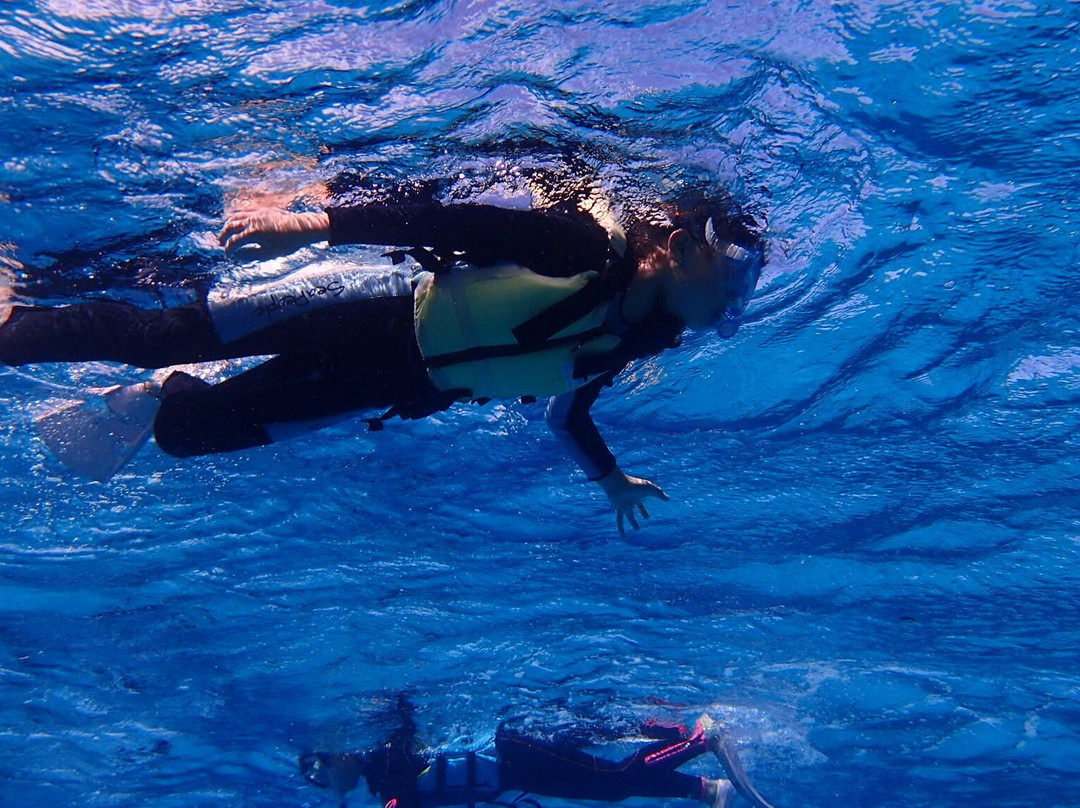 Happy Island (Tokashiki) - Day Tour-那霸市必去景点