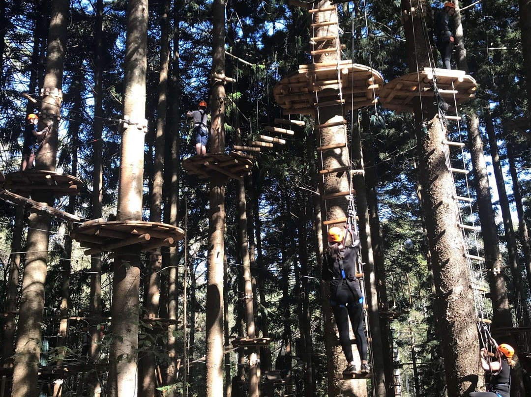 Treetops Adventure The Hills景点图片