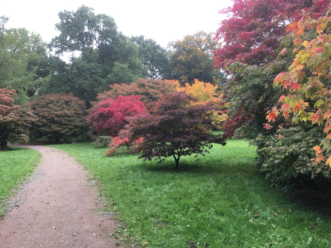Westonbirt House and Gardens-泰特伯里必去景点