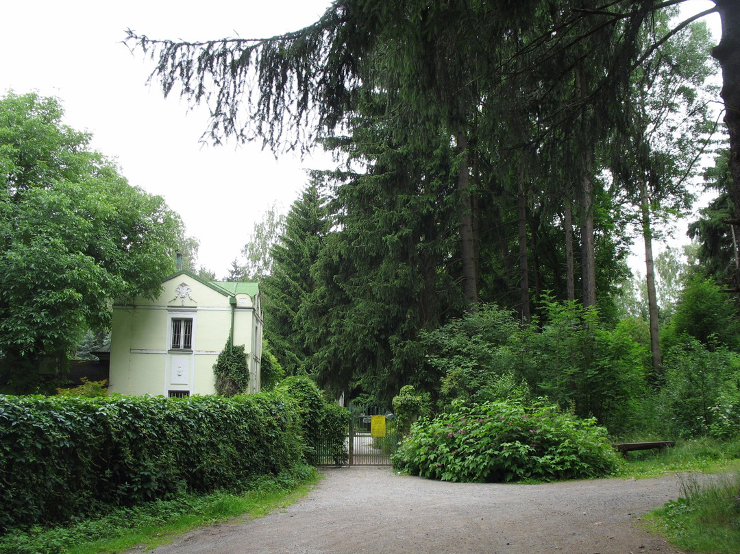Old Jewish Cemetery Drmoul景点图片
