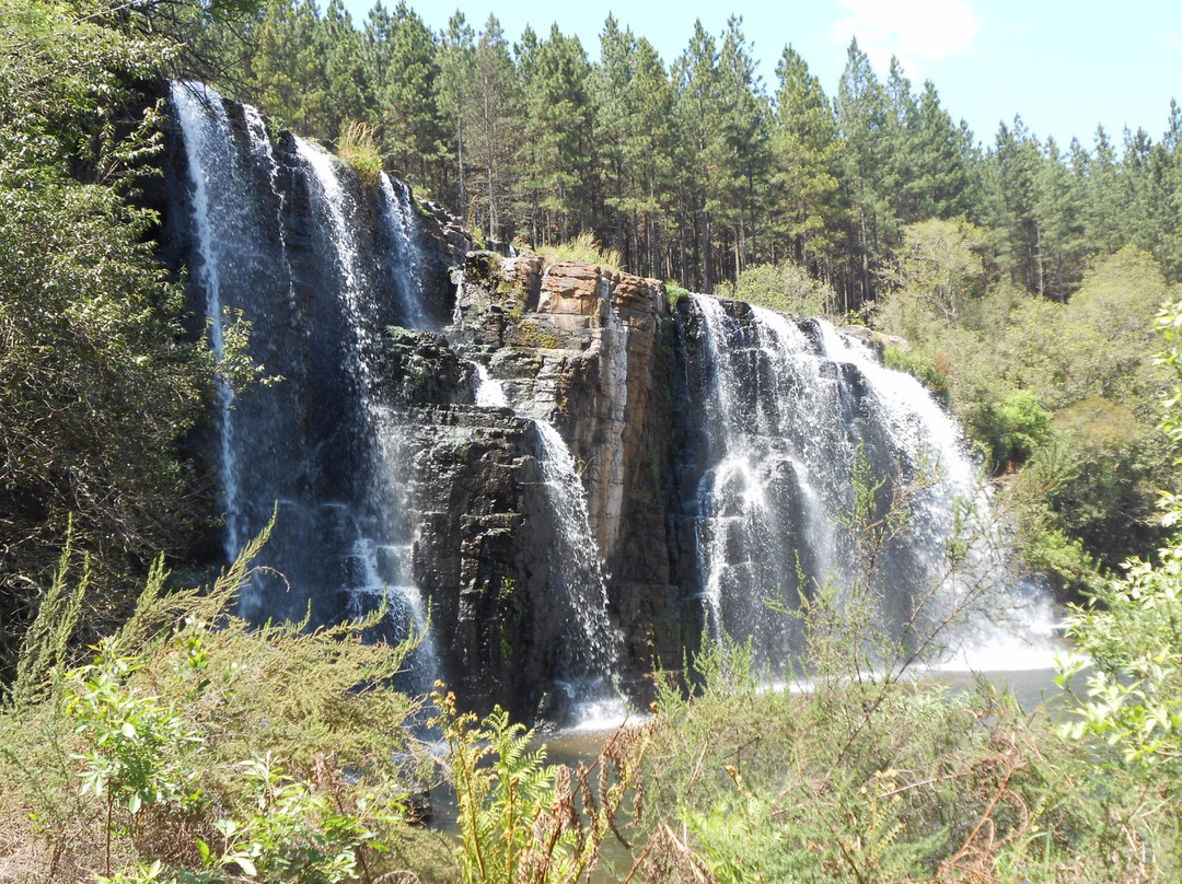 Lone Creek Falls景点图片