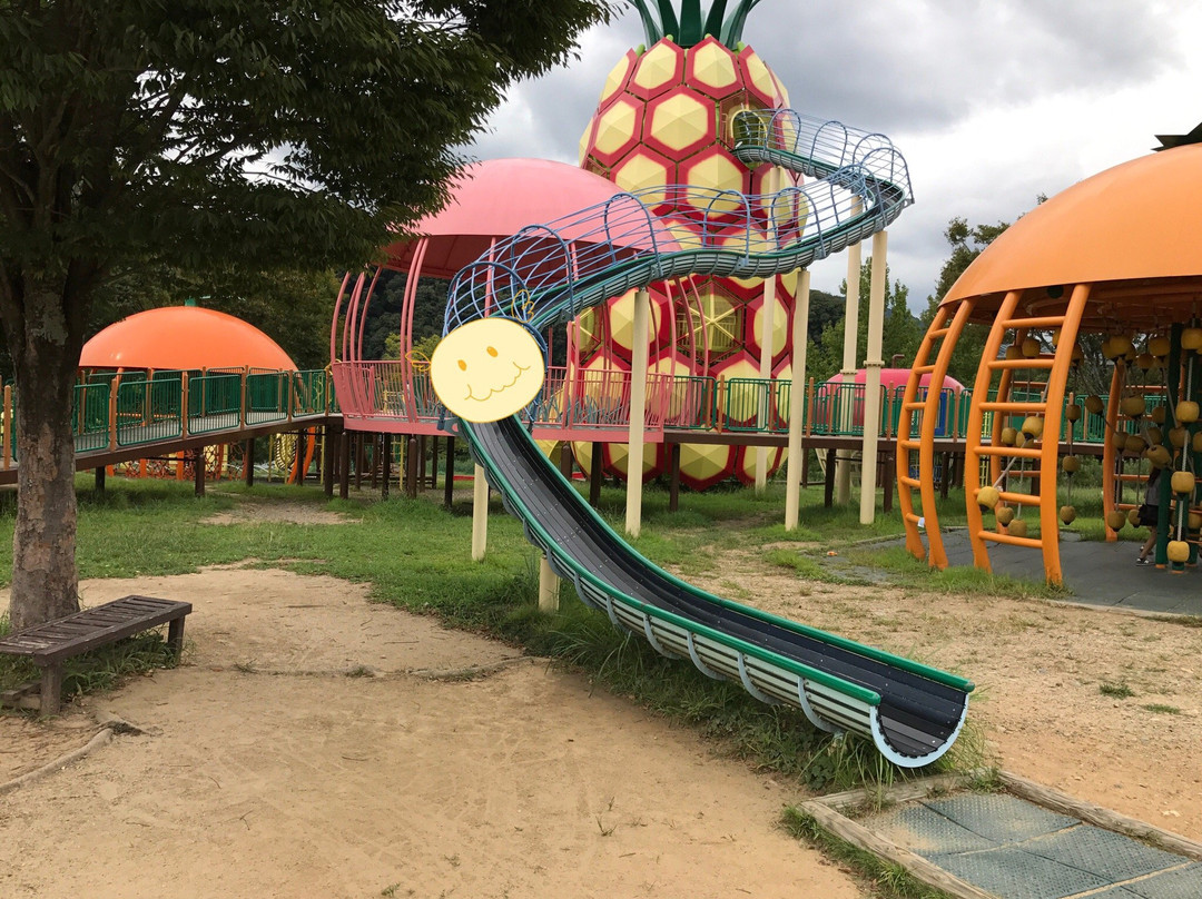 Hamamatsu Fruit Park Tokinosumika景点图片