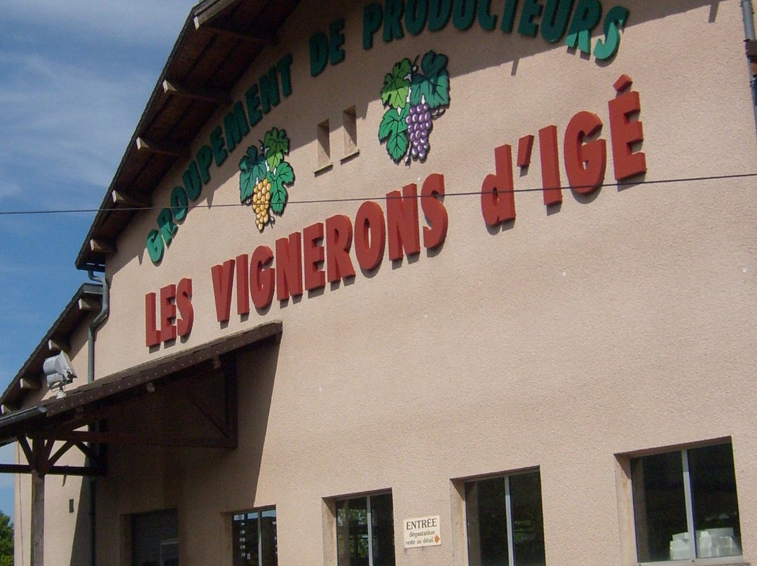 Les Vignerons D'ige景点图片