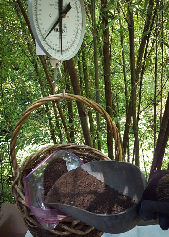 Bamboo Sourcery Nursery & Gardens景点图片