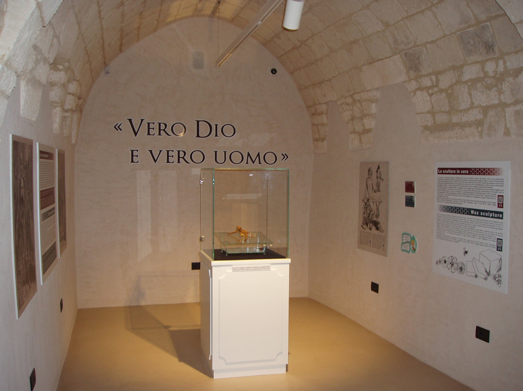 Museo Diocesano di Ostuni-奥斯图尼必去景点