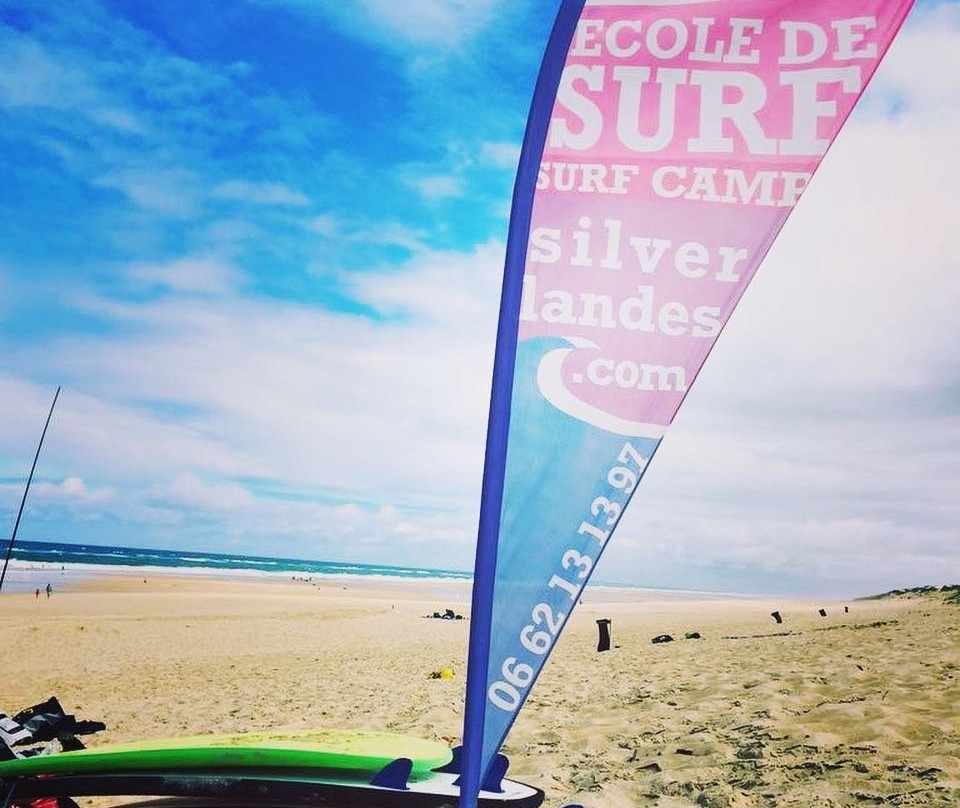 Ecole de Surf Silverlandes景点图片