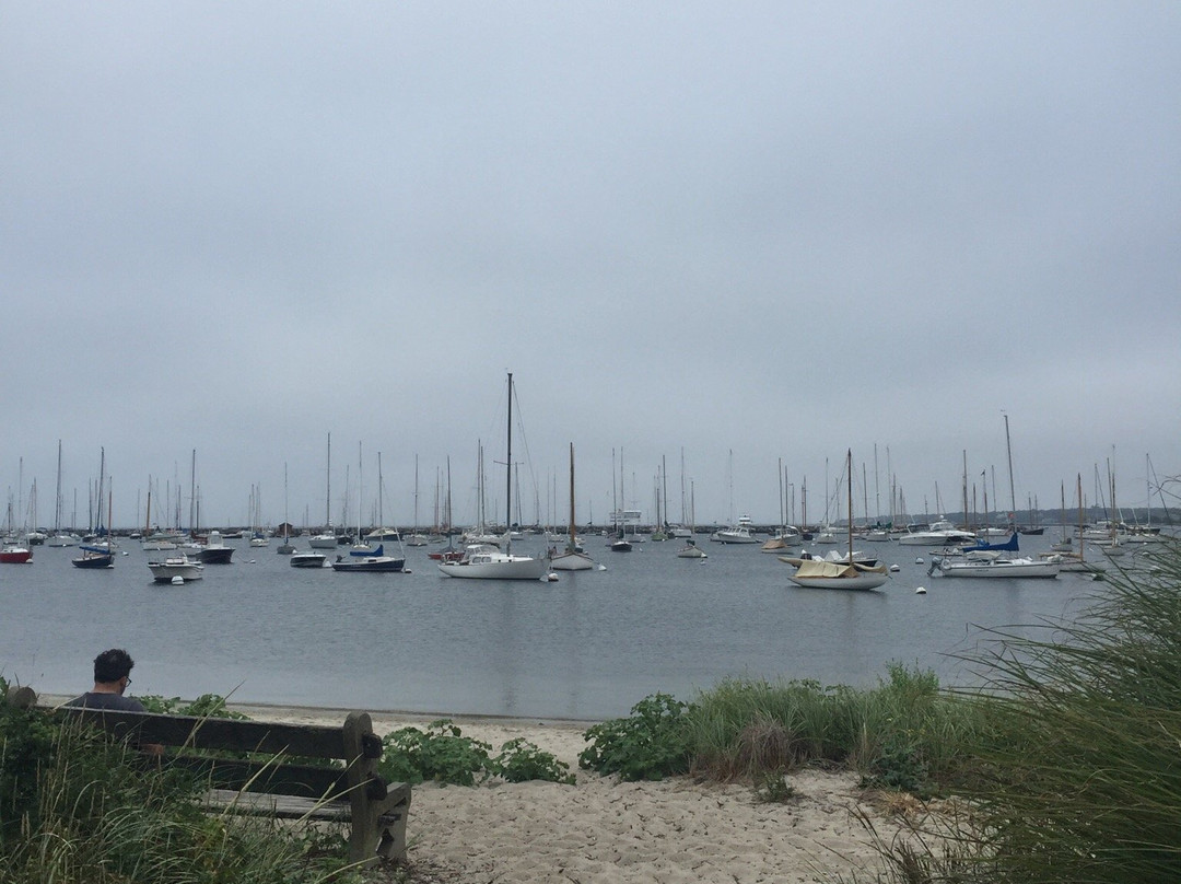 Vineyard Haven Marina景点图片