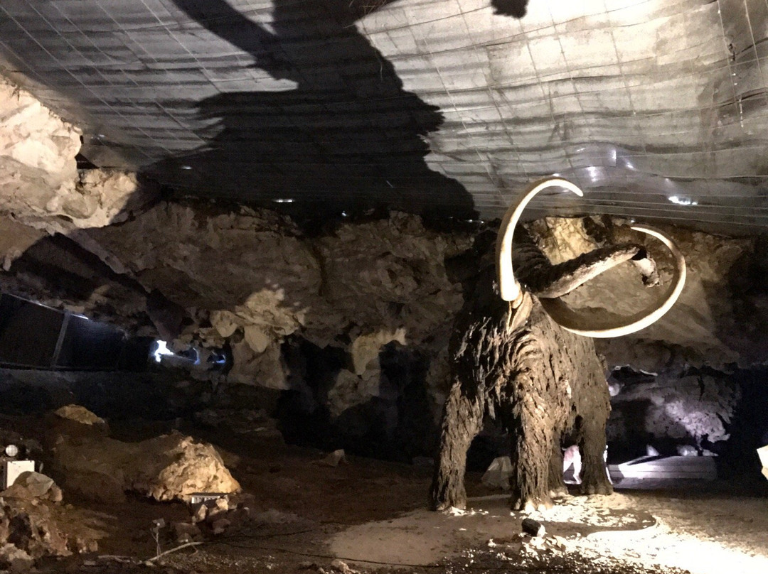 Cueva de La Peruyal-Avin必去景点