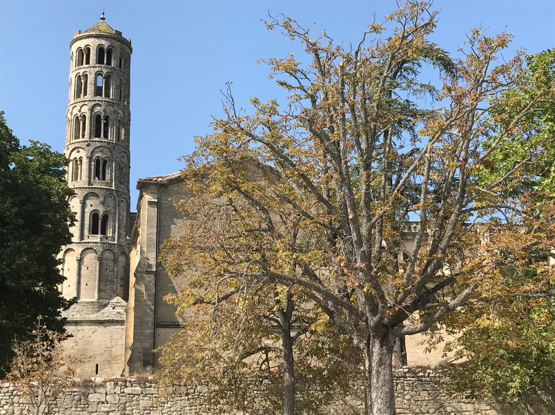 Cathédrale Saint-Théodorit景点图片