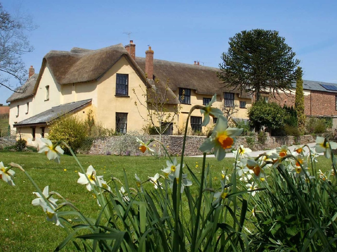 Great Gutton Farm Holiday Cottages