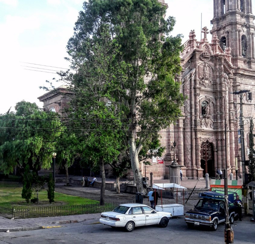 Santuario Basilica de Nuestra Senora de Guadalupe景点图片
