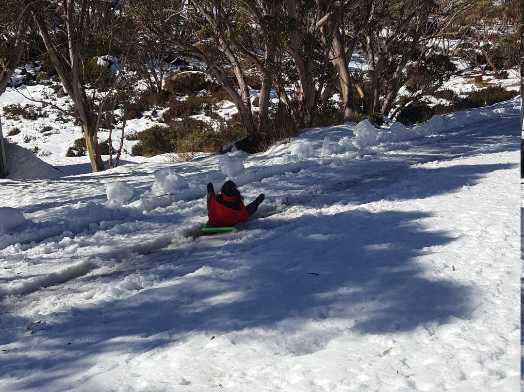 Mt Baw Baw Summit Walk-Mount Baw Baw必去景点