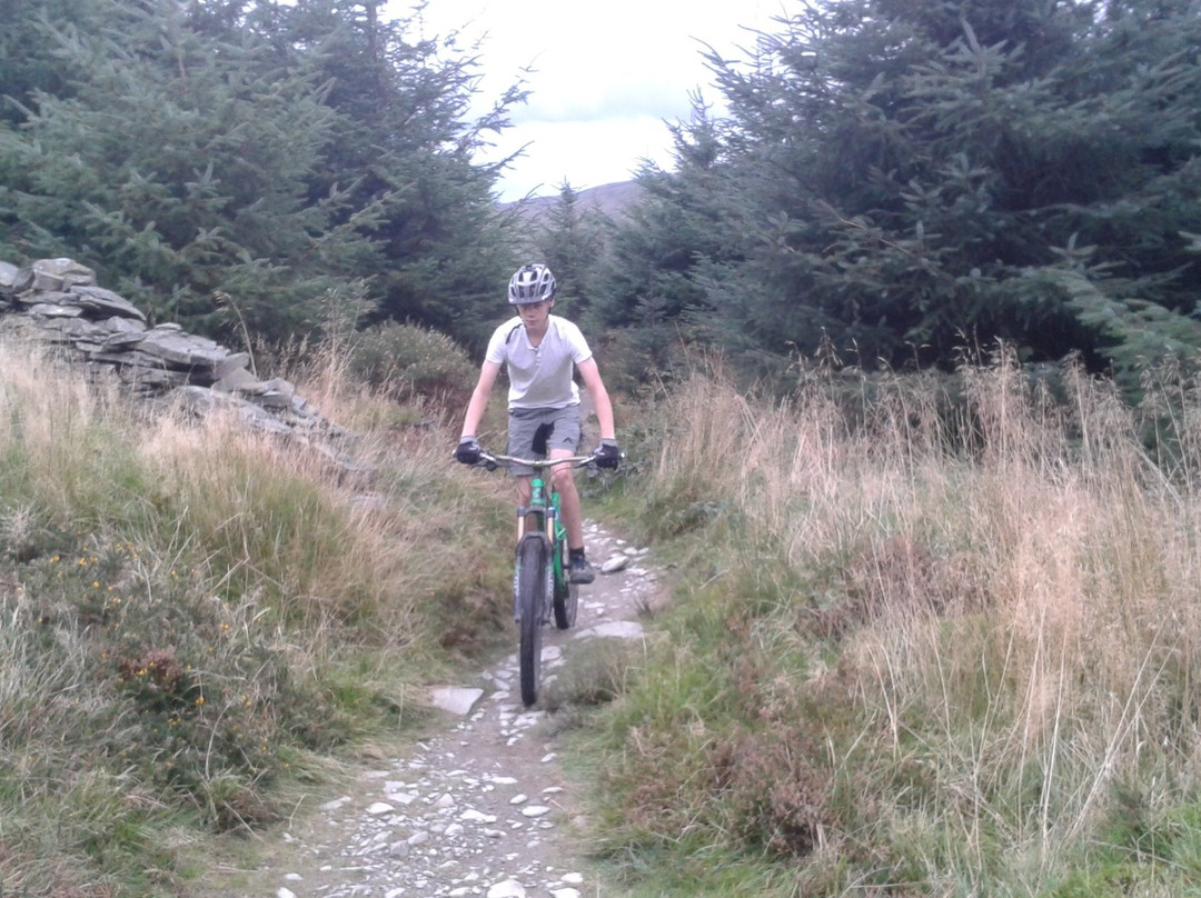 Llanberis Bike Hire景点图片