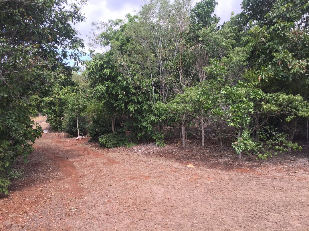 Mount Etna Caves National Park