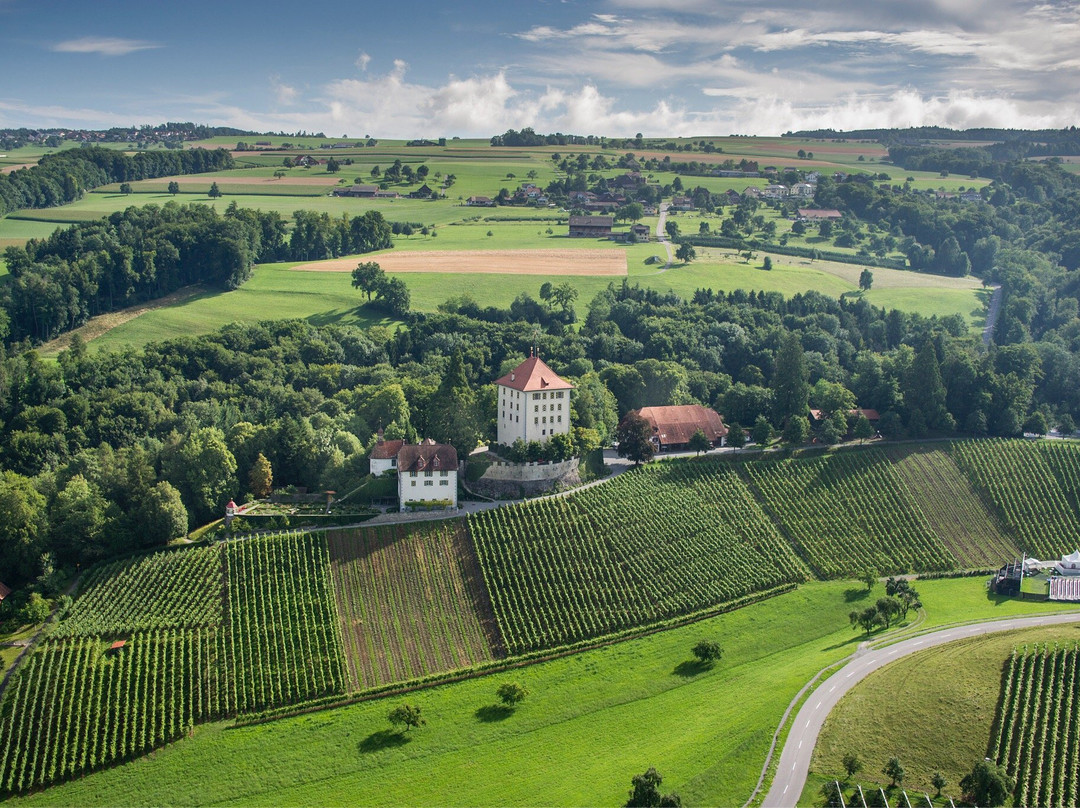 Schloss Heidegg-Gelfingen必去景点