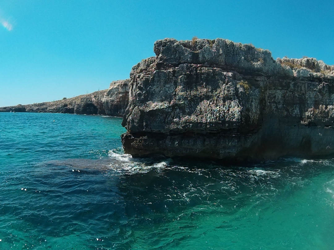 Torre Vado旅游攻略图片