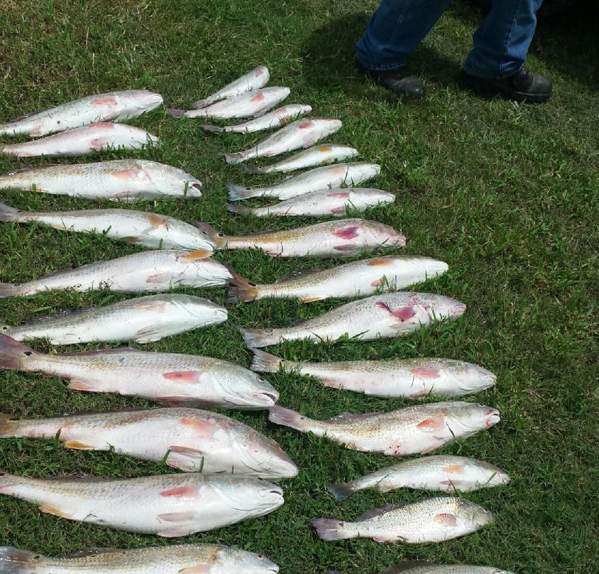 Smokin' Reels Charters LLC景点图片