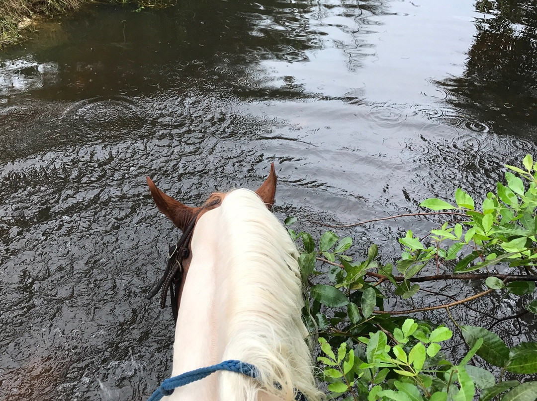 American Horse Trails-戴维必去景点