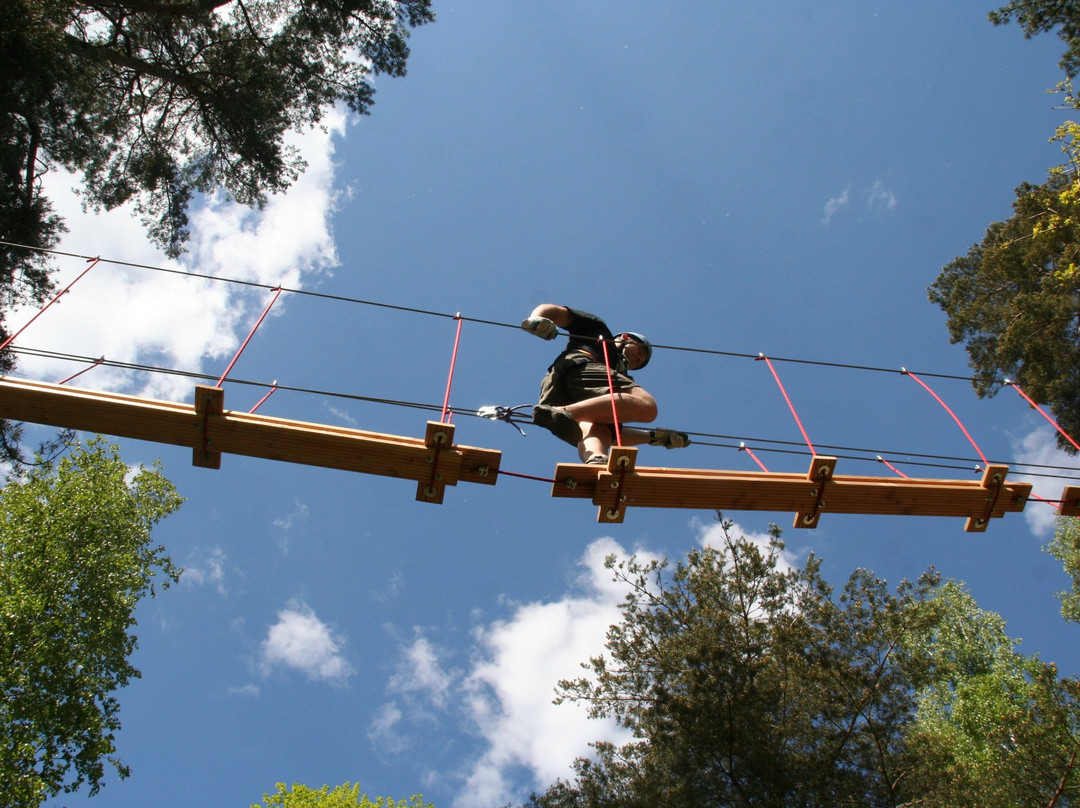 Upzone Adventure Park Boras景点图片