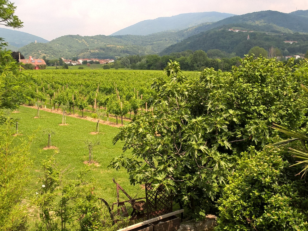 Strada Del Vino e Delle Ciliegie景点图片