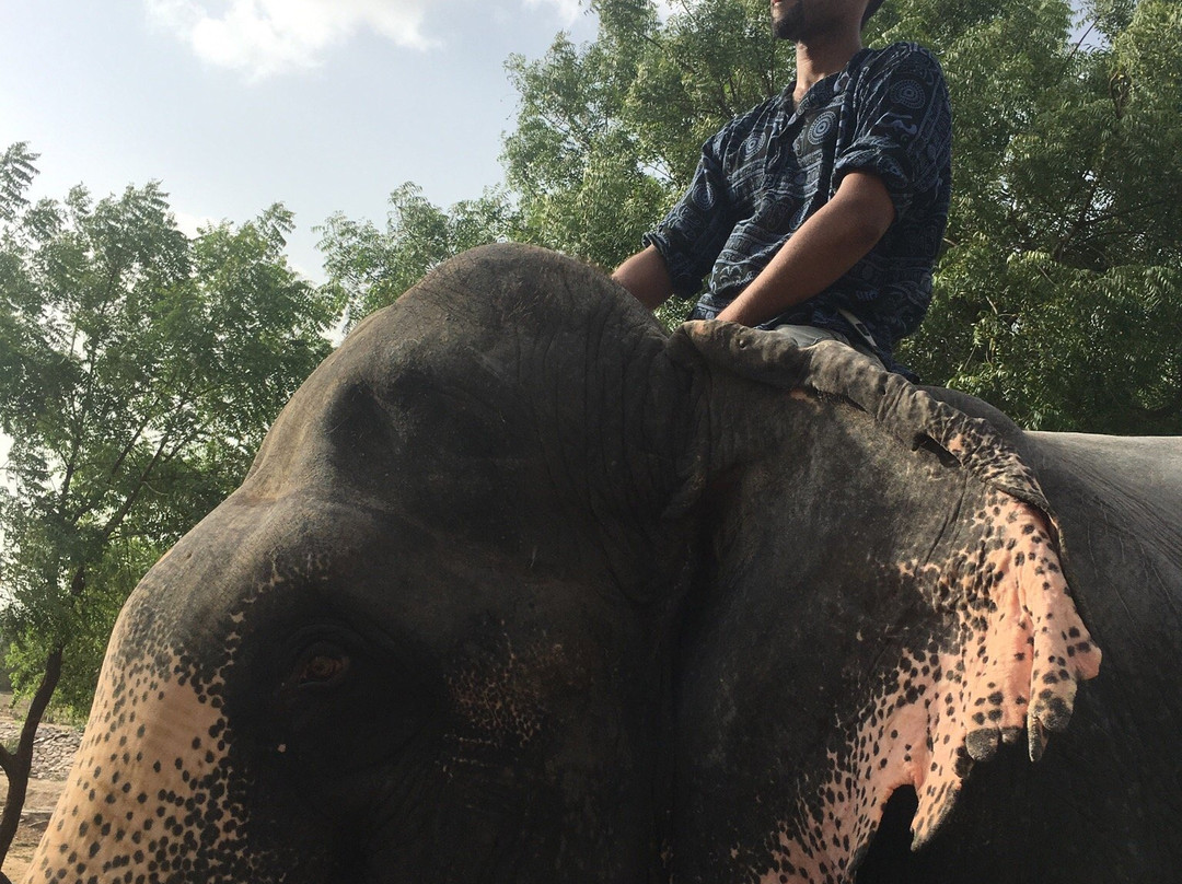 EleJaipur-斋蒲尔必去景点