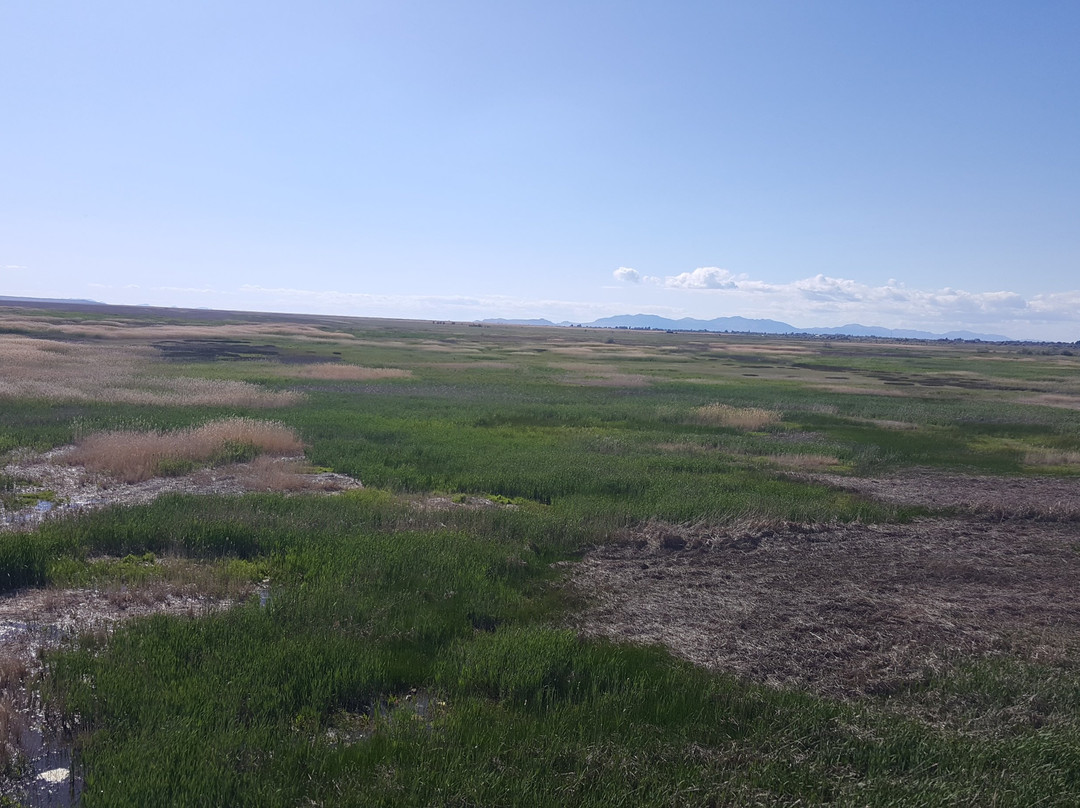 Great Salt Lake Shorelands Preserve-莱顿必去景点