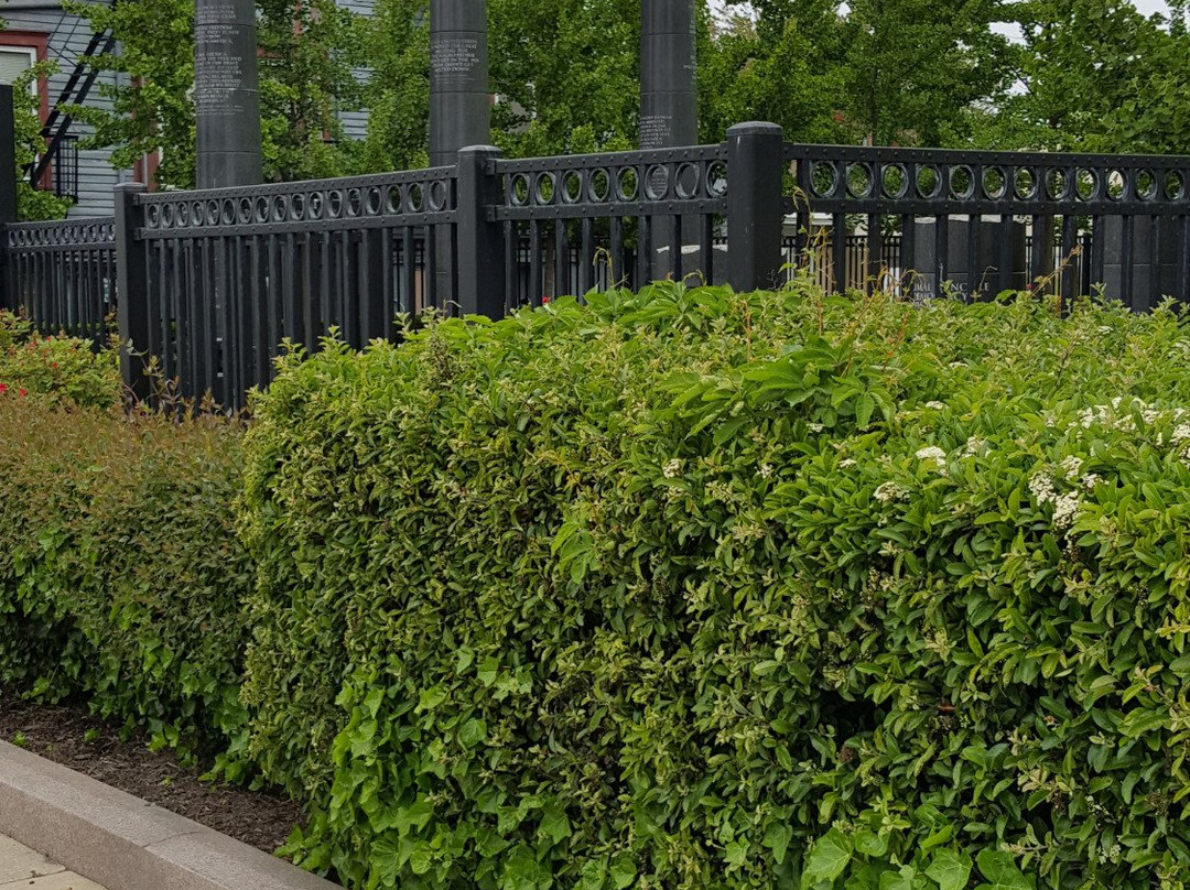 Civil Rights Garden景点图片