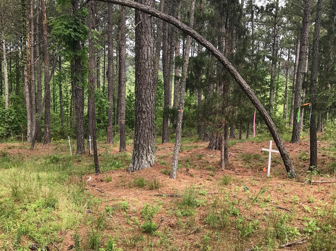 Kettle Creek Battlefield-Washington必去景点