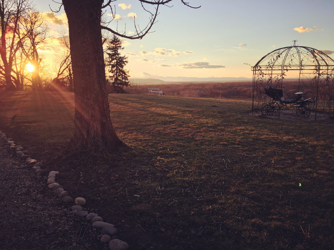 Gornja Radgona旅游攻略图片