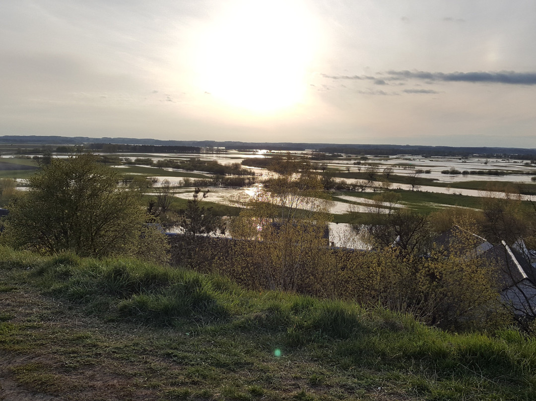 Pomnik bitwy pod Wizną景点图片