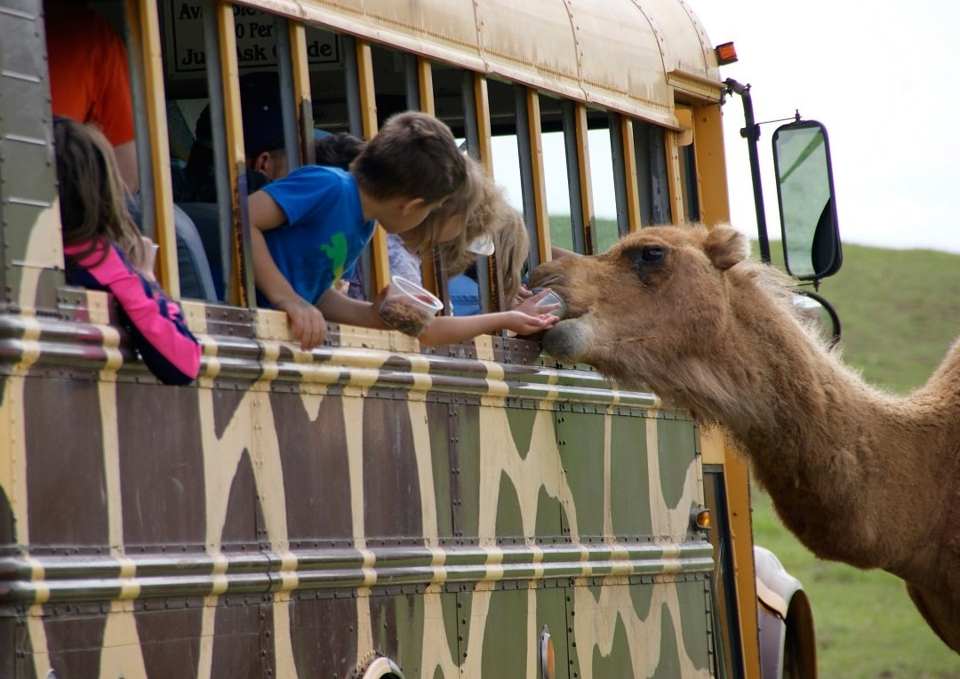 Wytheville There's Only One-Wytheville必去景点
