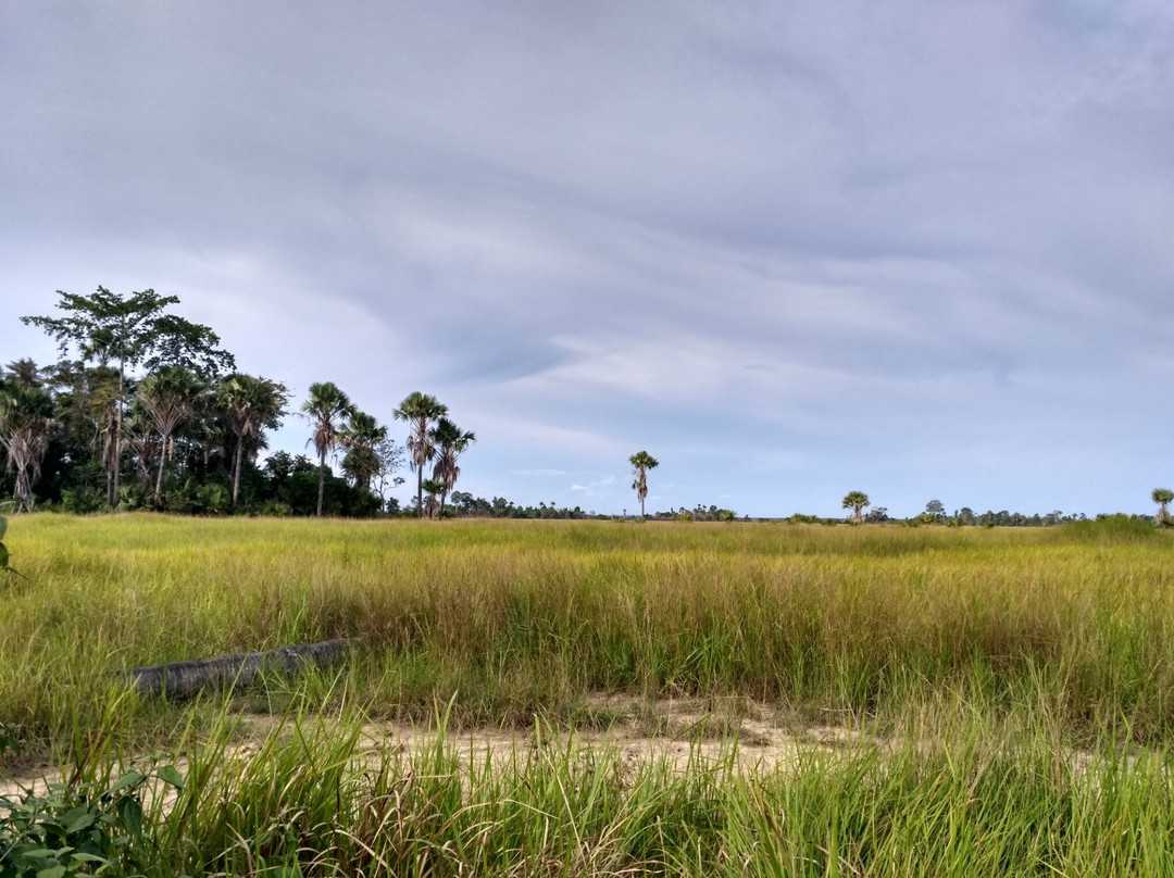 Taman Nasional Rawa Aopa Watumohai景点图片