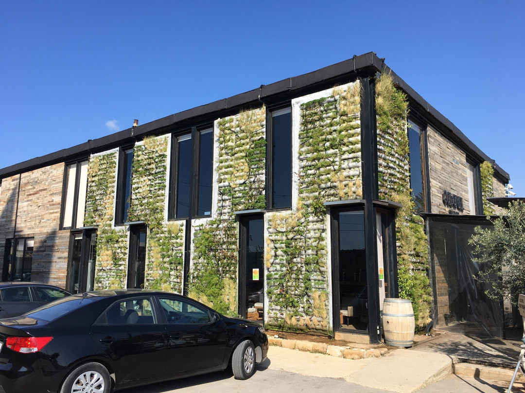 The Colonel Brewery-Batroun必去景点