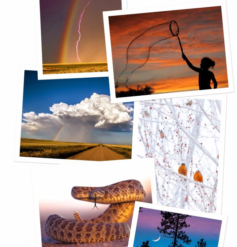 Bonzeye Studio-拉皮德城必去景点