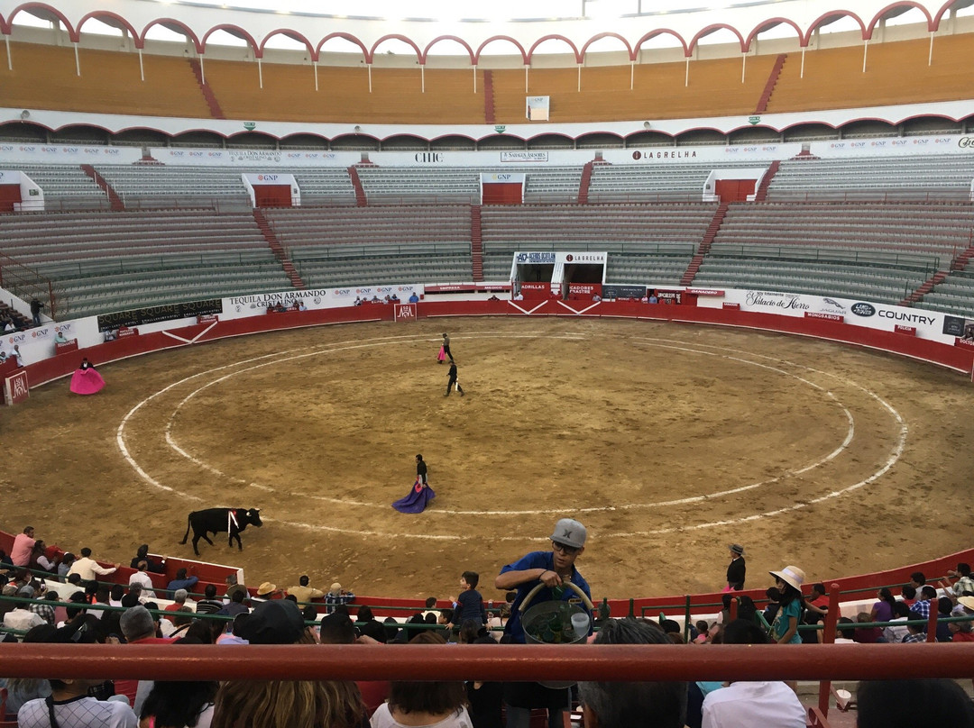 Plaza de Toros El Centenario-瓜达拉哈拉必去景点
