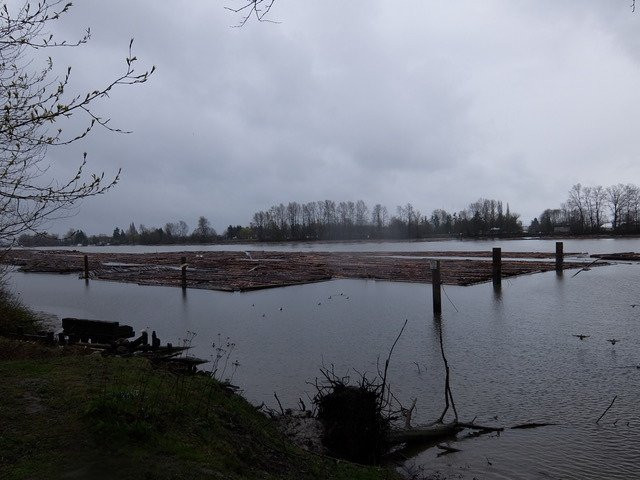 Fraser Foreshore Park-本那比必去景点