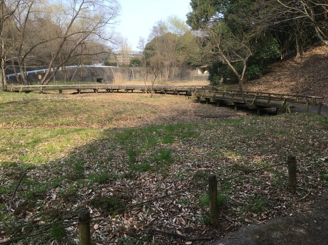 Machida City Nodatsu Park-町田市必去景点