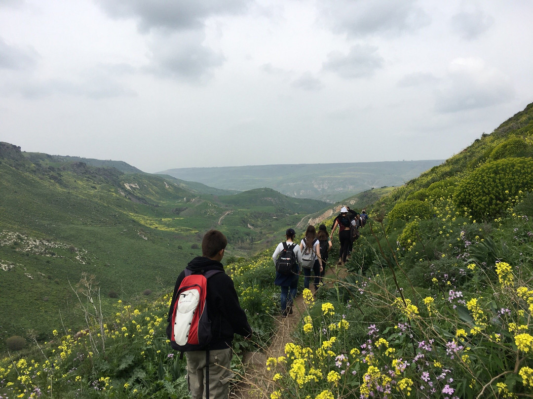 Nahal El Al-Avnei Eitan必去景点