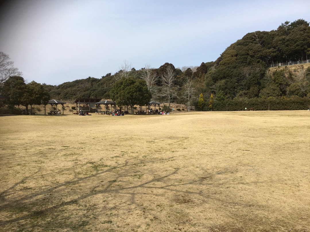 Tonosho Forest Park-东庄町必去景点