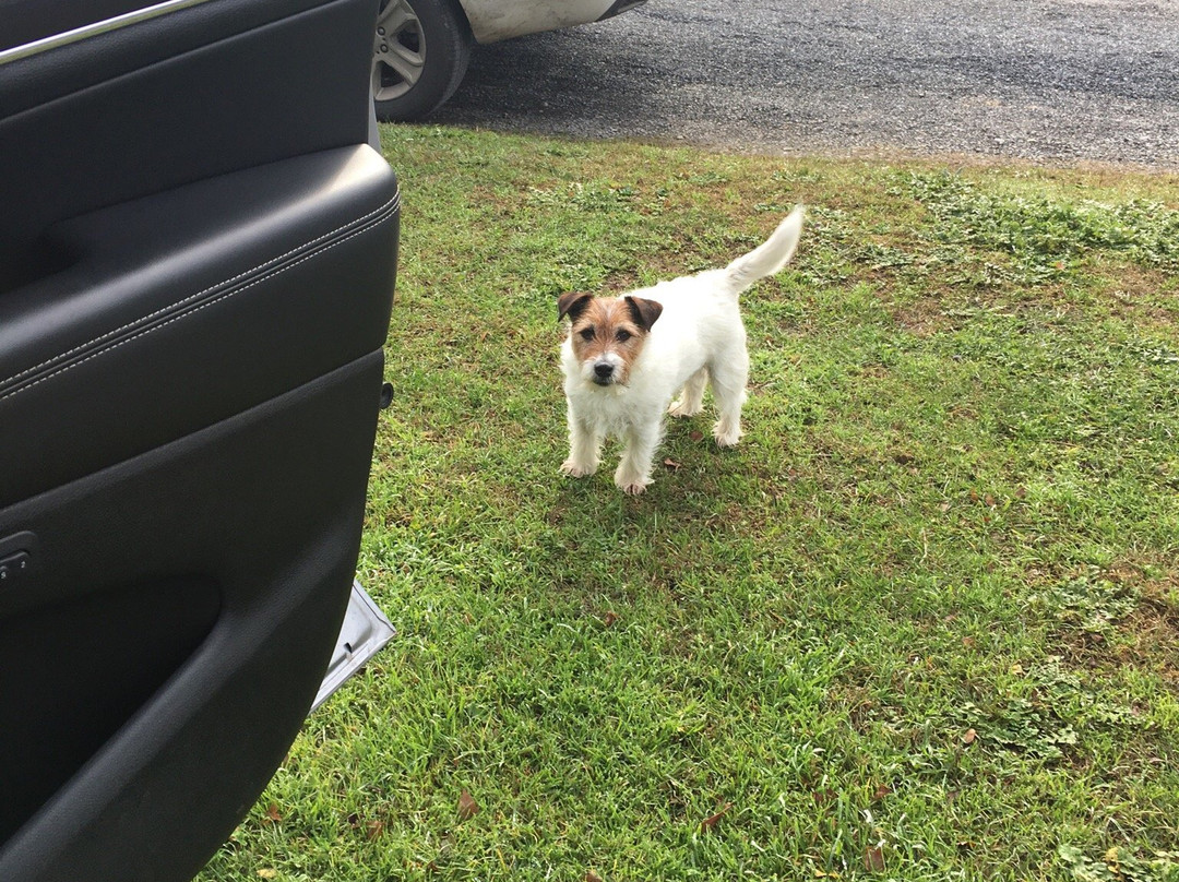 Quirky and The Jakster Sassafras-Sassafras必去景点