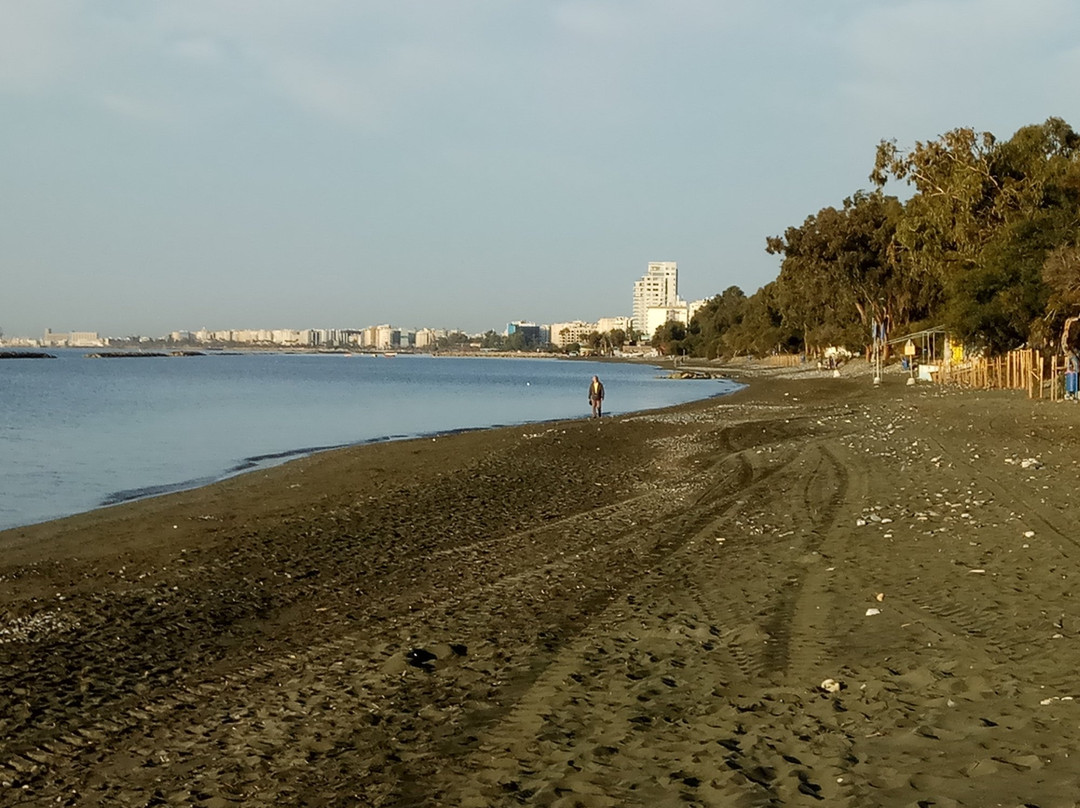 Deana Beach Apartments