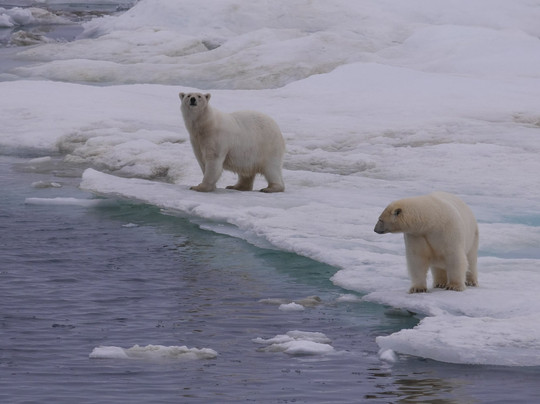 弗兰格尔岛自然保护区-Chukotka Autonomous Region必去景点