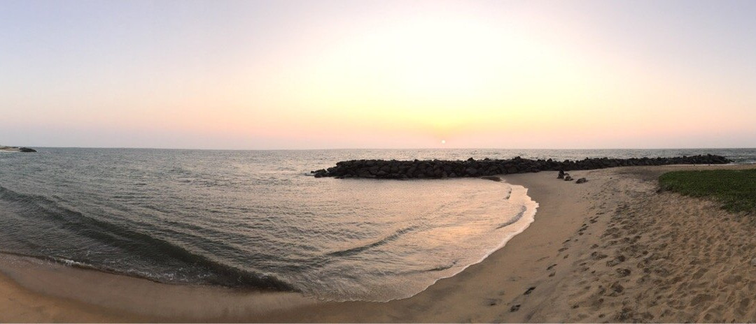 Bridden's Place主图