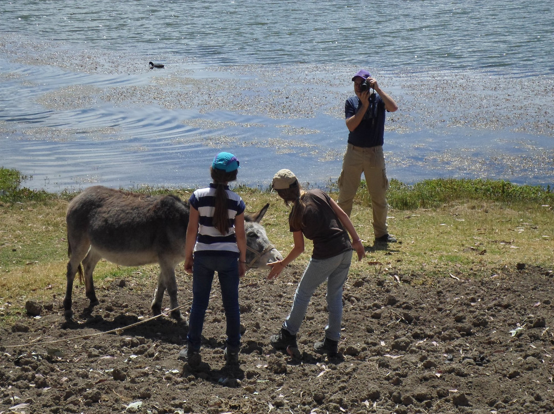 Andes X-Plorer-瓦拉斯必去景点