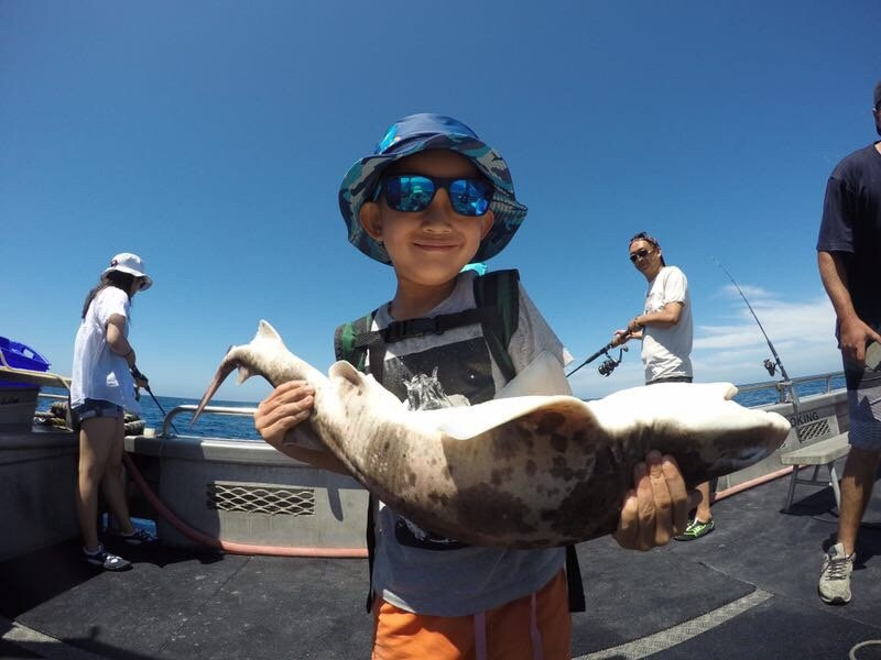 Apollo Bay Fishing & Adventure Tours景点图片