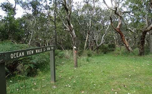 Mount Richmond National Park-Cape Bridgewater必去景点